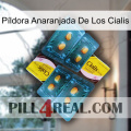 Píldora Anaranjada De Los Cialis cialis5